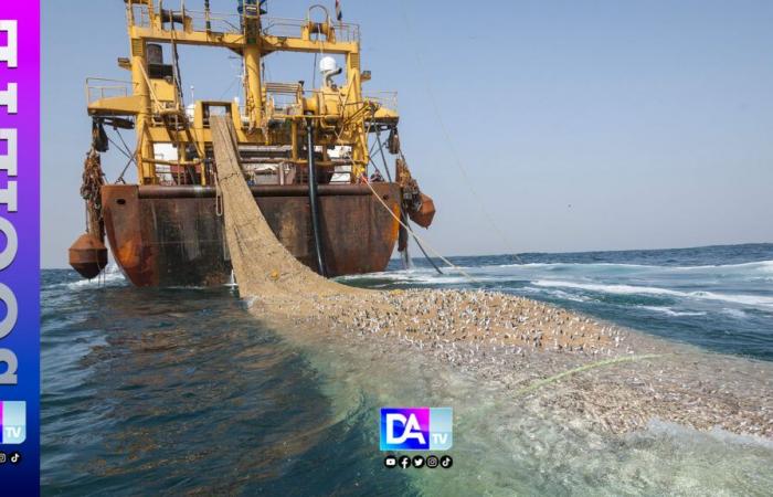 Il Senegal rivendica l’iniziativa di porre fine all’accordo di pesca con l’UE