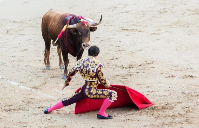 Il divieto della corrida per i minorenni sostenuto da un funzionario eletto del Lot-et-Garonne