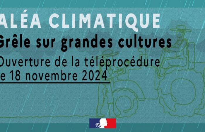 Teleprocedura di risarcimento per eventi di grandine su grandi colture – Aiuti temporanei e catastrofi agricole – Agricoltura, selvicoltura e sviluppo rurale – Azioni dello Stato