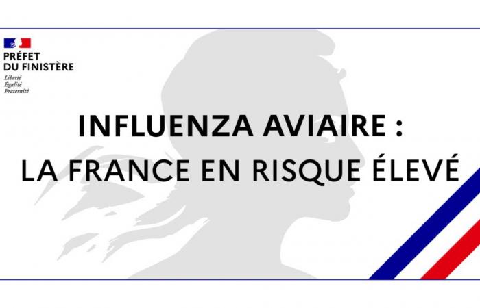 Influenza aviaria: la Francia è ad alto rischio dal 9 novembre 2024 – Influenza aviaria – Animali – Azioni dello Stato