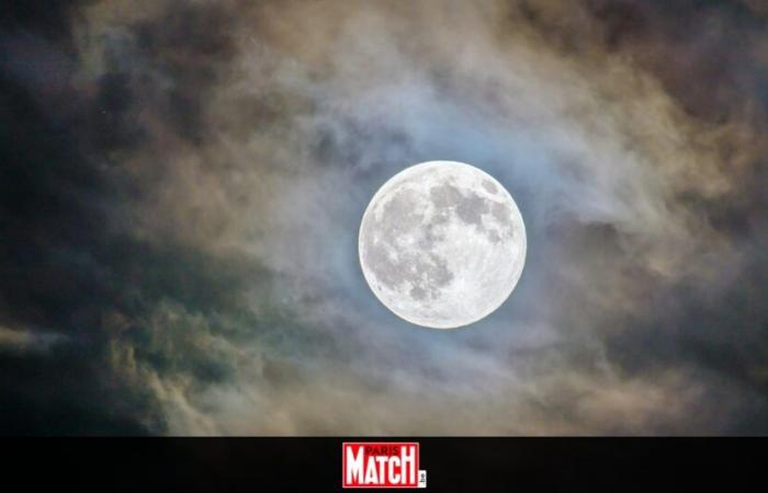 Questo venerdì avrà luogo una Super Luna speciale: questi segni astrologici saranno particolarmente colpiti