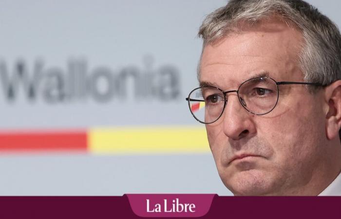 Il governo vallone mette a rischio 38.000 posti di lavoro APE, secondo il parere delle organizzazioni datoriali e sindacali valloni