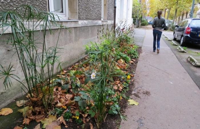 Un'abitante di Rodez violentata per strada da un 22enne