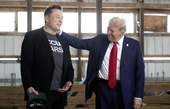 La storia d’amore in erba dei miliardari Elon Musk e Donald Trump