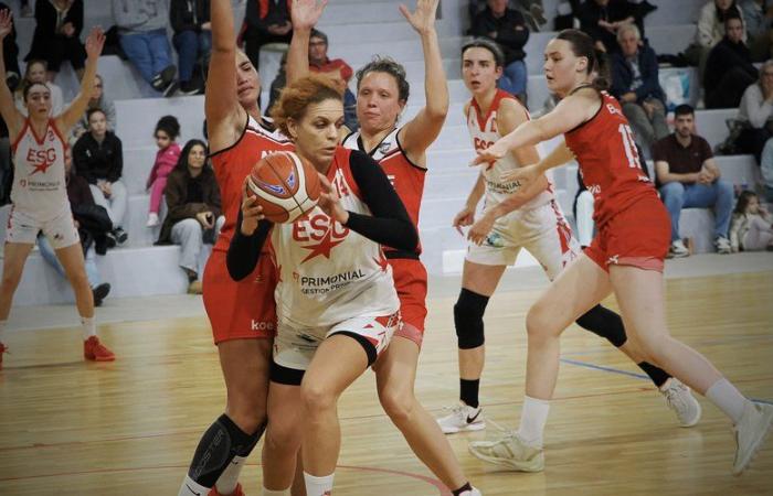 Basket amatoriale – Nazionale femminile 2: Gimont si metterà alla prova a Deux-Sèvres contro una squadra di Chauray che punta alla promozione