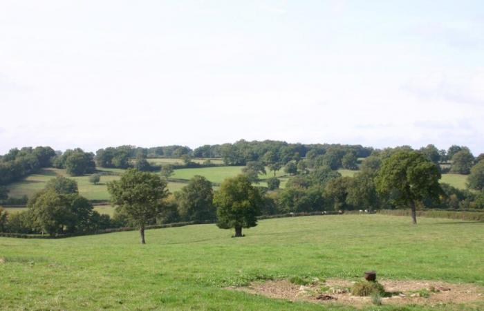 Parco naturale regionale Sud-Berry, nell'Indre: gli oppositori si irritano