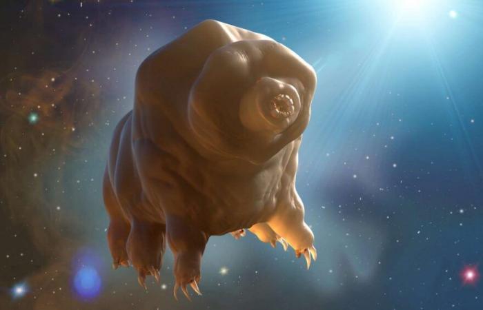 Gli scienziati cinesi hanno fatto un’incredibile scoperta sui tardigradi che potrebbero proteggerci nello spazio