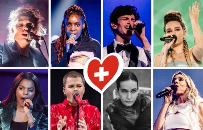 Questi otto candidati si contendono un posto all’Eurovision Song Contest: da sorella di Metejoor a nipote di Louis Neefs