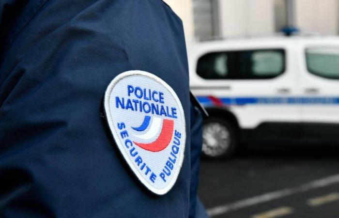 Nanterre: un uomo investito da un treno in seguito ad un incidente con gli agenti della RATP