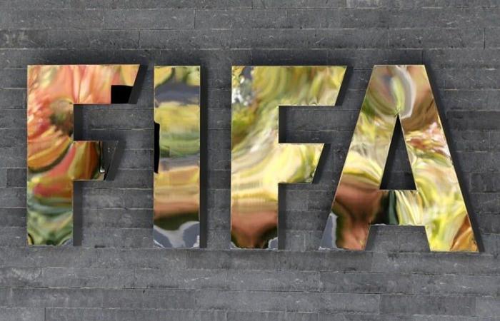 La FIFA prevede di introdurre l’uso del video per gli allenatori