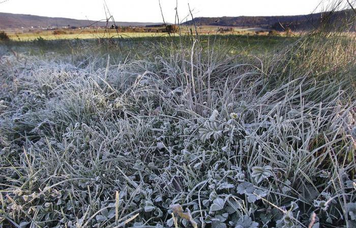 BOLLETTINO METEO. Tra poco la prima neve della stagione? Tempo grigio e previsione di ondate di freddo in Borgogna