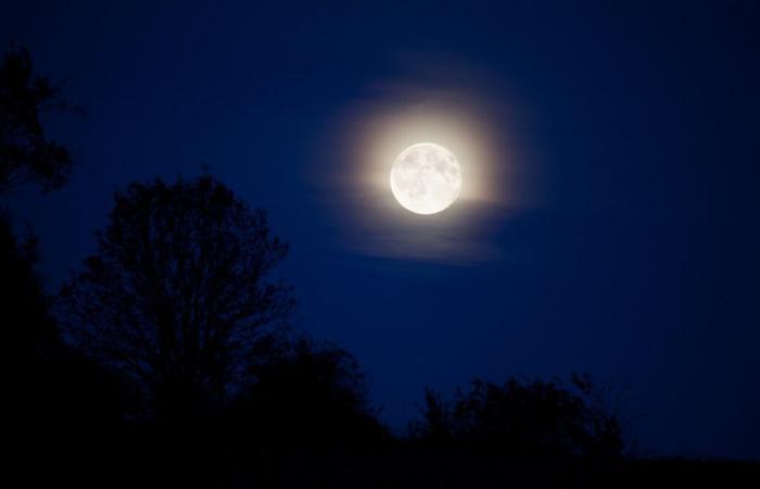 Luna piena del 15 novembre: questi i tre segni zodiacali che festeggeranno