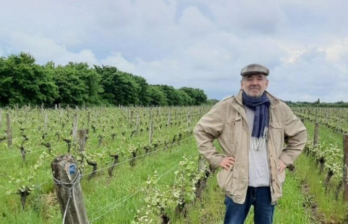 Mareau-aux-Prés celebra i libri e il vino