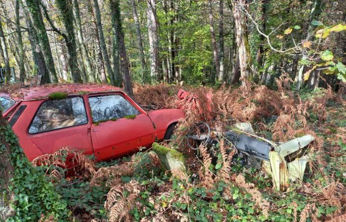 Scomparsa di “Fafa” nell'Ariège: messaggio vocale schiacciante, droga, sospetto ex cacciatore alpino… cosa sappiamo delle indagini per ritrovare Fadela