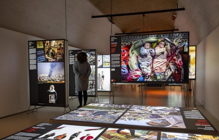 Château de Prangins: in mostra le migliori foto stampa del 2023