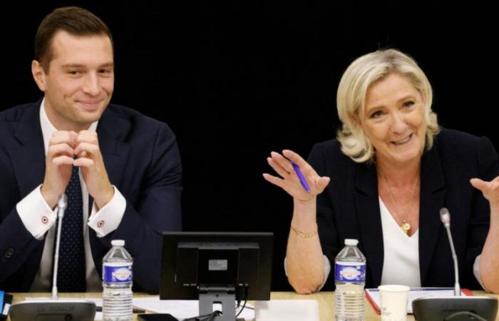 Dopo la condanna di Marine Le Pen, quali saranno le conseguenze per la RN?