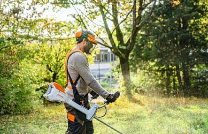 Il potente lavoro radiofonico di STIHL raddoppia la consapevolezza (+81%)