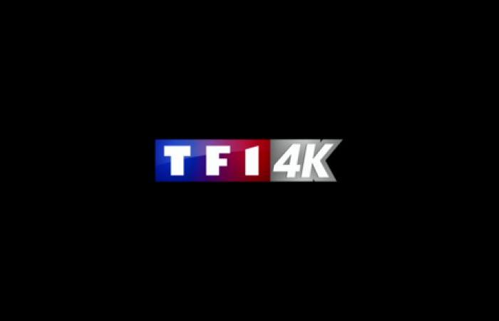 TF1 annuncia nuovi contenuti 4K che saranno disponibili a dicembre su Freebox Mini 4K, Pop, One, Delta e Ultra