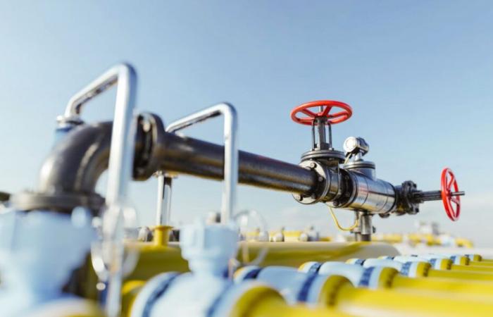 Tunisia – Biserta: accelerazione del progetto di fornitura di gas naturale