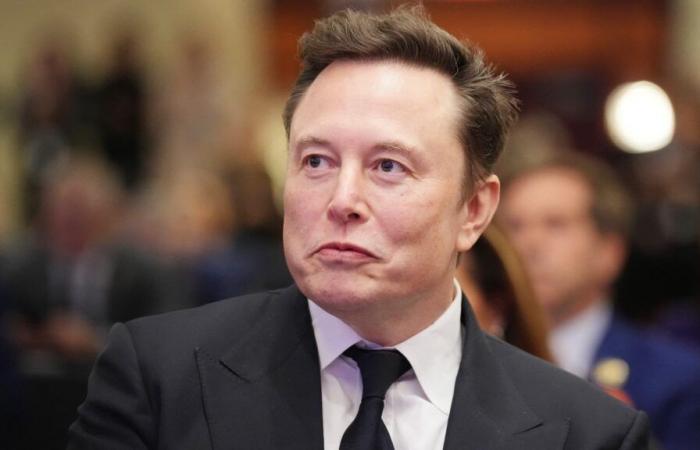 Elon Musk lancia il reclutamento per il suo “dipartimento per l’efficacia del governo”