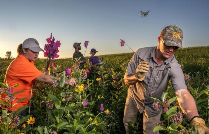 10 tra le fotografie più significative dell’anno