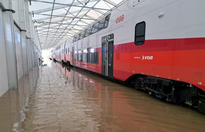 Stadler adegua la guida – Bahnonline.ch