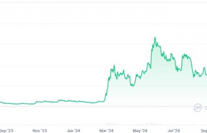 Come un investitore in Memecoin ha trasformato 26 dollari in 61,5 milioni di dollari?