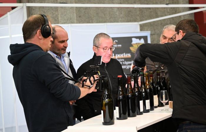 Vini della Borgogna: benvenuti nel regno delle degustazioni di piacere a Beaune