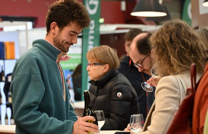 Vini della Borgogna: benvenuti nel regno delle degustazioni di piacere a Beaune