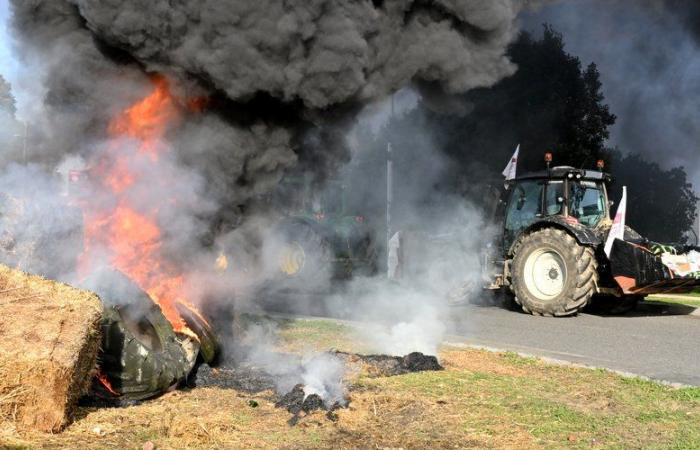 La rabbia degli agricoltori: “Incendi in luoghi strategici ma lontani dalle abitazioni”, annuncia la FDSEA 31