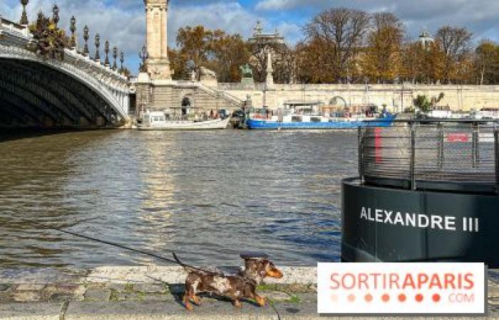 Paris Sausage Walk 2024: la passeggiata dei bassotti torna nella capitale questo fine settimana!