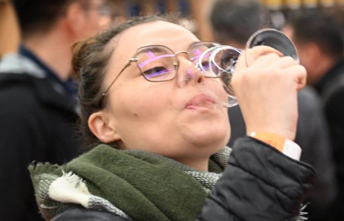 Vini della Borgogna: benvenuti nel regno delle degustazioni di piacere a Beaune