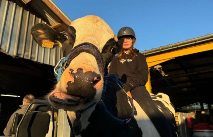 IN FOTO – Giornata speciale per la crisi agricola: rivivi lo spettacolo mattutino in diretta da un caseificio della Dordogna