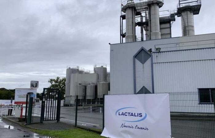 Lactalis e Unell aumentano il prezzo del latte per il 2025