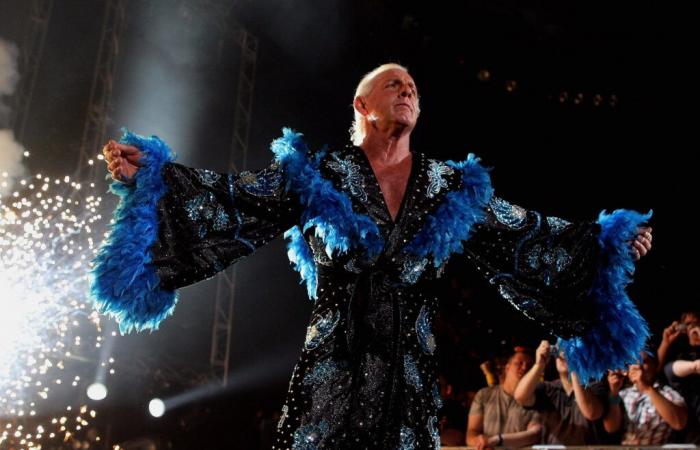 La leggenda della WWE Ric Flair in Mike Tyson’s Corner contro Jake Paul