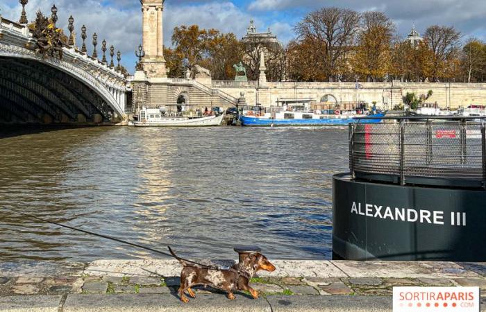 Paris Sausage Walk 2024: la passeggiata dei bassotti torna nella capitale questo fine settimana!