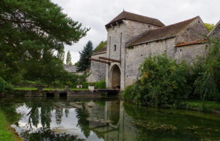 Esclusivo. Florent Pagny potrebbe acquistare la Ferme du Fossé a Échevannes, in Côte-d’Or