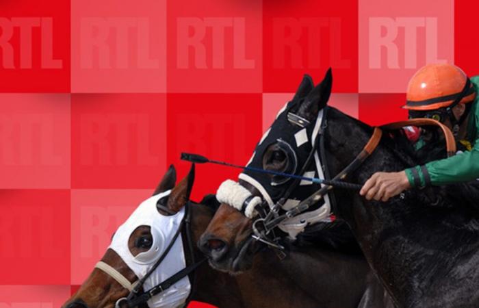 Quinté di sabato 16 novembre 2024 a Auteuil: i pronostici