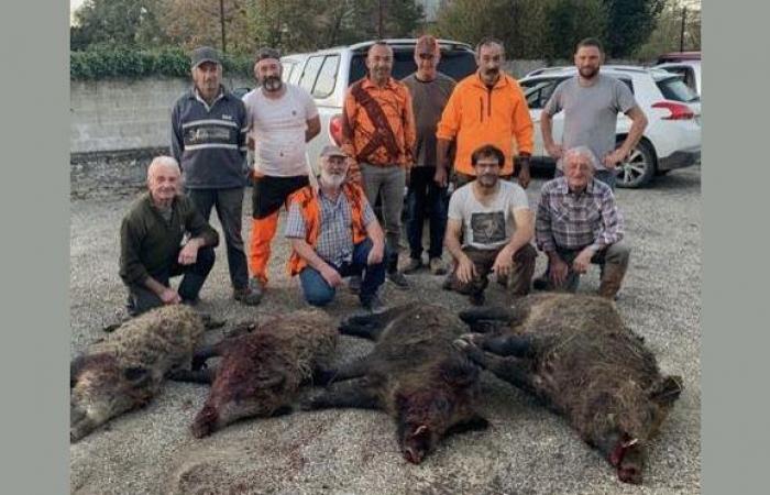 Un cinghiale di 167 kg nel Lot et Garonne