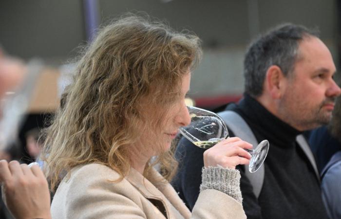 Vini della Borgogna: benvenuti nel regno delle degustazioni di piacere a Beaune