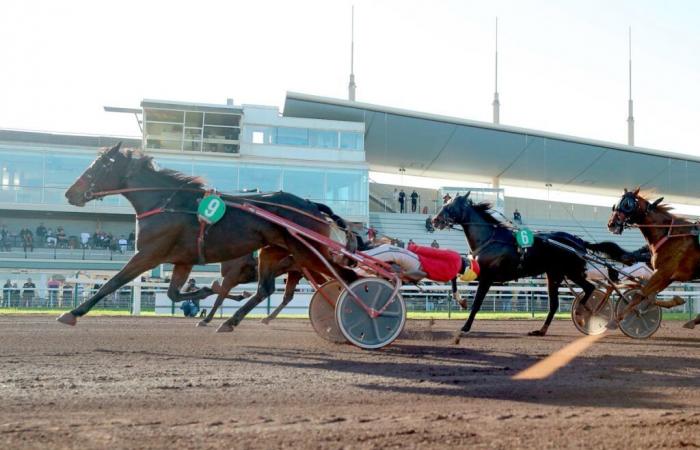 15/11/2024 a Borély – Finale 5 anni: Javanaise Turgot vede la tripla