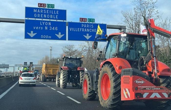 Lione. Sono tornati gli agricoltori arrabbiati del Rodano: prevista un'azione shock