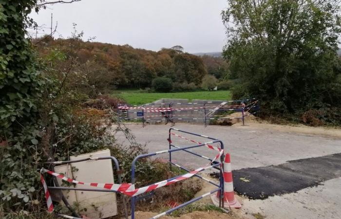 Un grande progetto in corso attorno a uno dei castelli più belli del Cotentin: ecco perché