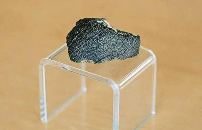 La meteorite contiene prove della presenza di acqua sull’antico Marte