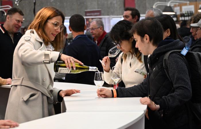 Vini della Borgogna: benvenuti nel regno delle degustazioni di piacere a Beaune