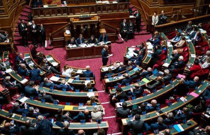 le proposte scioccanti del gruppo centrista al Senato