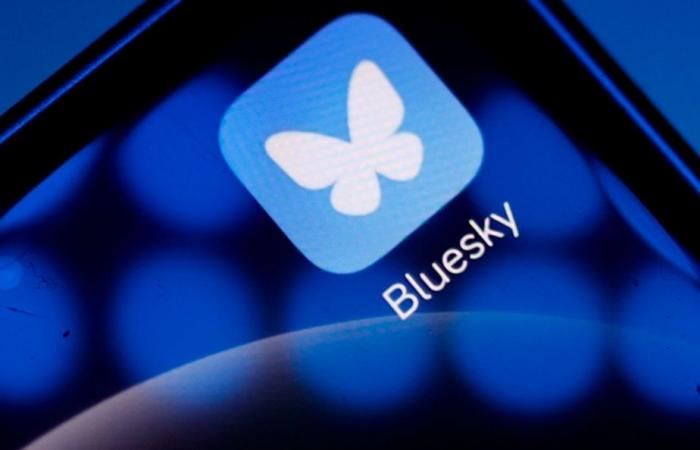 Alternativa a X | Il social network Bluesky guadagna un milione di utenti in un giorno