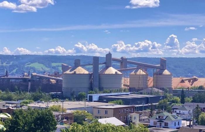 L’artista Vicky Côté critica Rio Tinto per essersi rifiutata di abbellire i suoi silos a La Baie