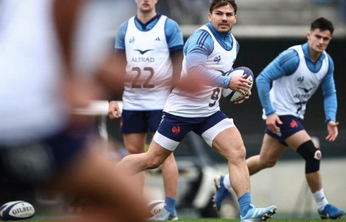 Francia-All Blacks, è arrivato il momento di riconnettersi con l’eccellenza