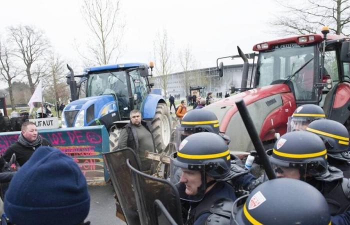 cosa aspettarsi a Ille-et-Vilaine nei prossimi giorni?